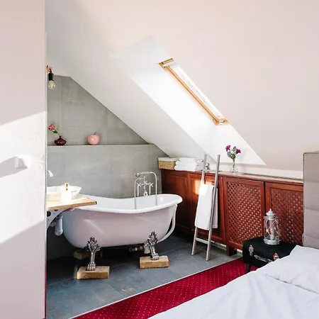 Petra In Historical Palace 布拉迪斯拉发