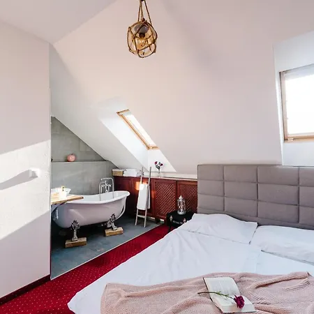 Petra In Historical Palace 旅馆