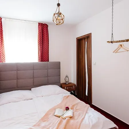 Petra In Historical Palace * 布拉迪斯拉发