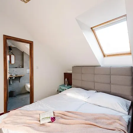 Petra In Historical Palace Ostello Bratislava